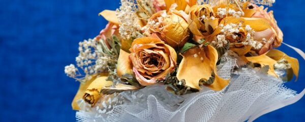 fleurs séchées