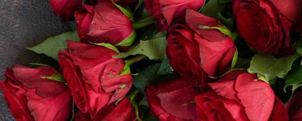 Offrir des roses
